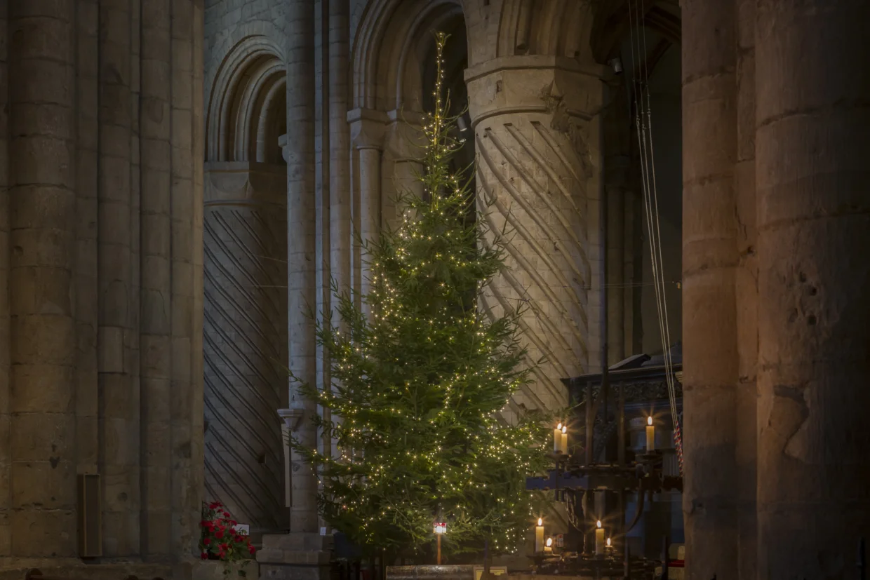 Cathedral Christmas Tree with lights and candles